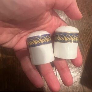 Concorde Jet Logo Royal Doulton Tableware LimitedSalt  and Pepper Shakers pots